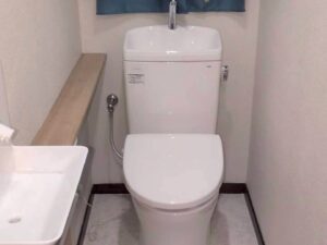 静岡市葵区　S様邸トイレ交換工事